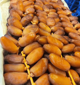 علبة 10 كغ - دقلة نور